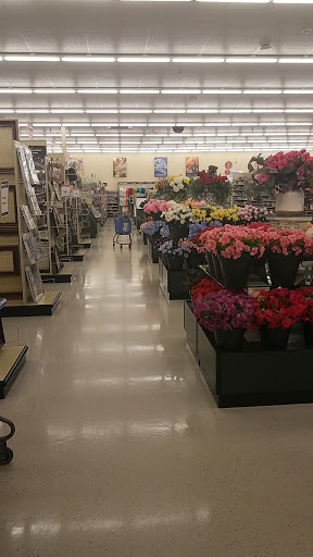 Craft Store «Hobby Lobby», reviews and photos, 2635 Enterprise Rd, Orange City, FL 32763, USA