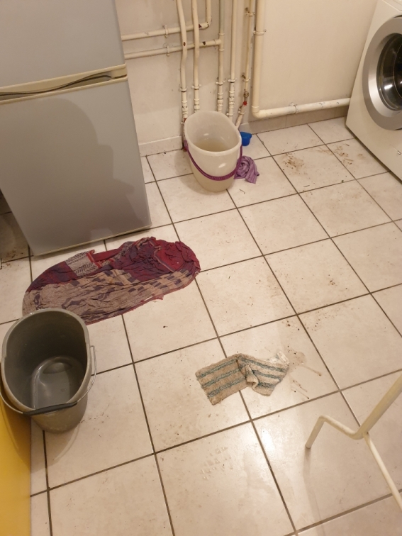 Photo n° 1 de l'avis de mel.e fait le 03/11/2021 à 15:08