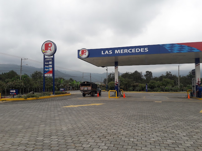 Opiniones de Estación De Servicio LAS MERCEDES en Pedro Pablo Gómez - Gasolinera