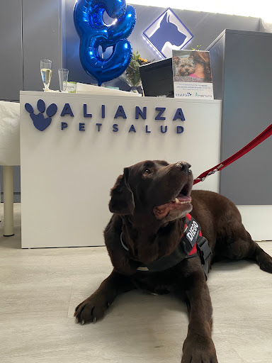 Clínica Veterinaria Dogo Azul Elviria en Marbella