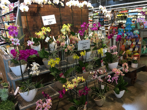 Grocery Store «Whole Foods Market», reviews and photos, 1566 W McEwen Dr, Franklin, TN 37067, USA