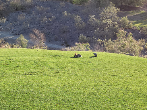 Public Golf Course «The Revere Golf Club», reviews and photos, 2600 Hampton Rd, Henderson, NV 89052, USA