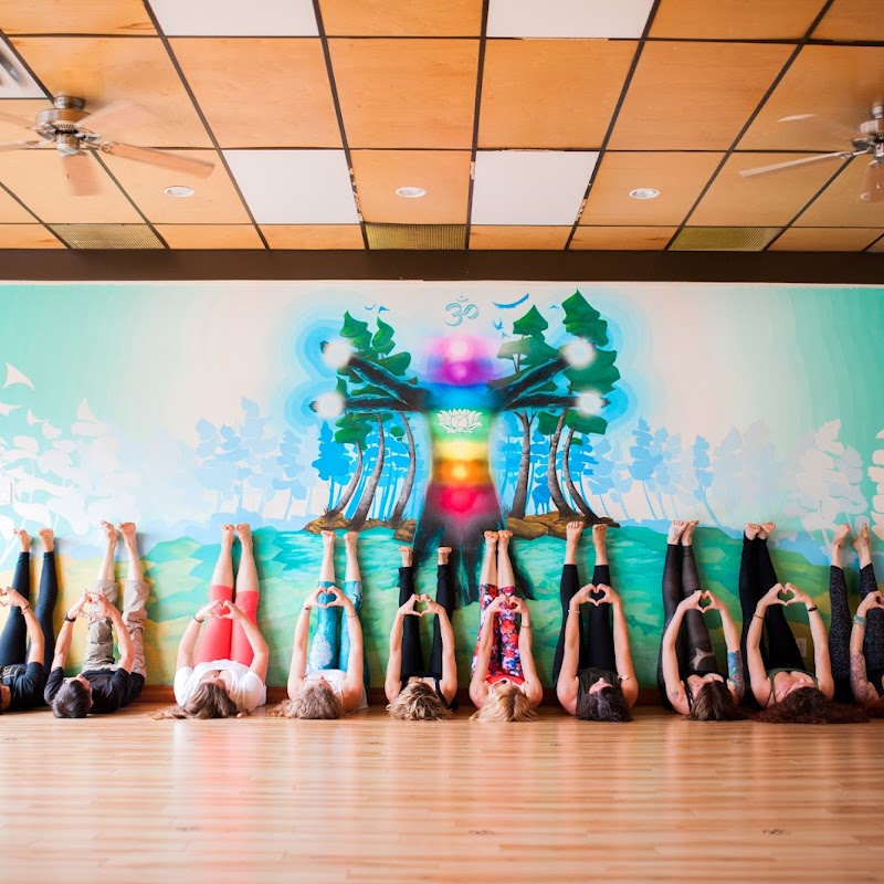 Chinook Yoga Studio