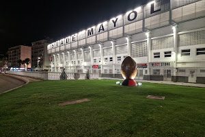 Stade Mayol image