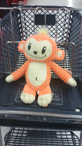 Pet Supply Store «Petco Animal Supplies», reviews and photos, 6137 Mid Rivers Mall Dr, St Charles, MO 63304, USA