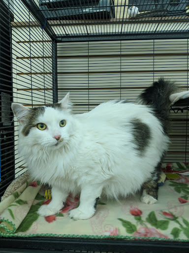 Pet Supply Store «Pet Supplies Plus», reviews and photos, 1150 N Court St #2A, Medina, OH 44256, USA