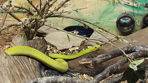 Live Music Venue «House of Blues Myrtle Beach», reviews and photos, 4640 Hwy 17 S, North Myrtle Beach, SC 29582, USA