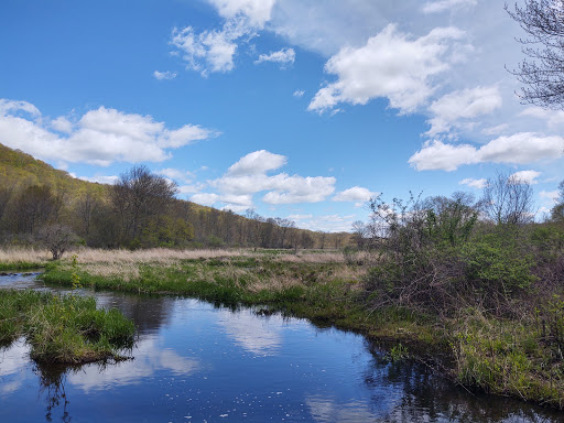 Nature Preserve «Macricostas Preserve», reviews and photos, 121 Christian St, New Preston, CT 06777, USA