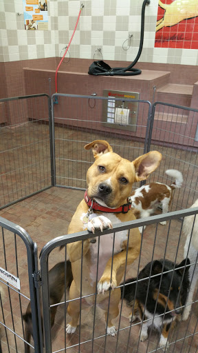 Pet Supply Store «Pet Food Express», reviews and photos, 9153 W Olympic Blvd, Beverly Hills, CA 90212, USA