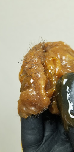 Explore sunflower tattoo ideas black and white, creative tattoo ideas in Nacogdoches, available at The Sweet Suite