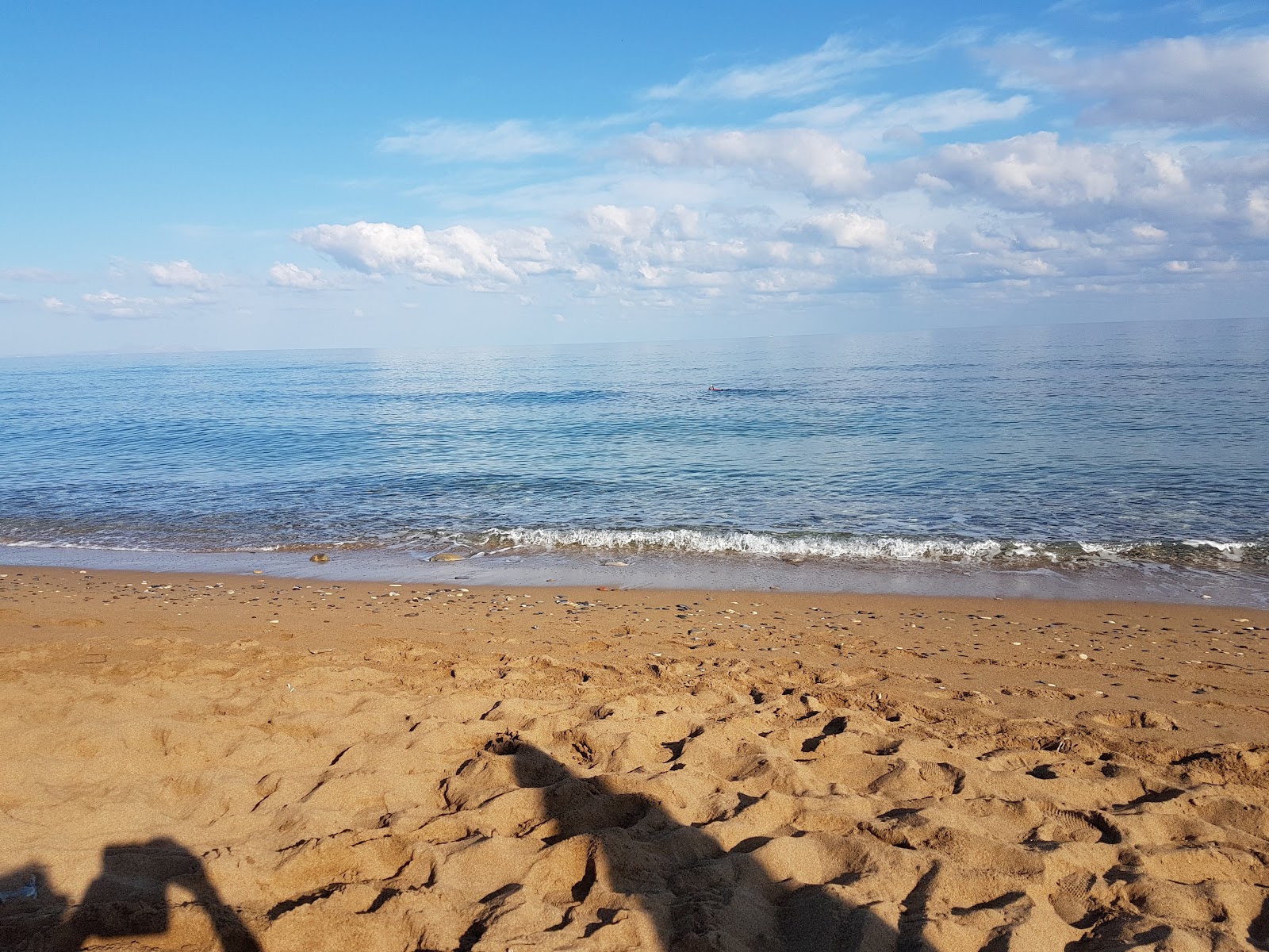 Foto av Skaleta beach med grönt vatten yta