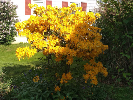 Golf Course «Bangor Municipal Golf Course», reviews and photos, 278 Webster Ave, Bangor, ME 04401, USA