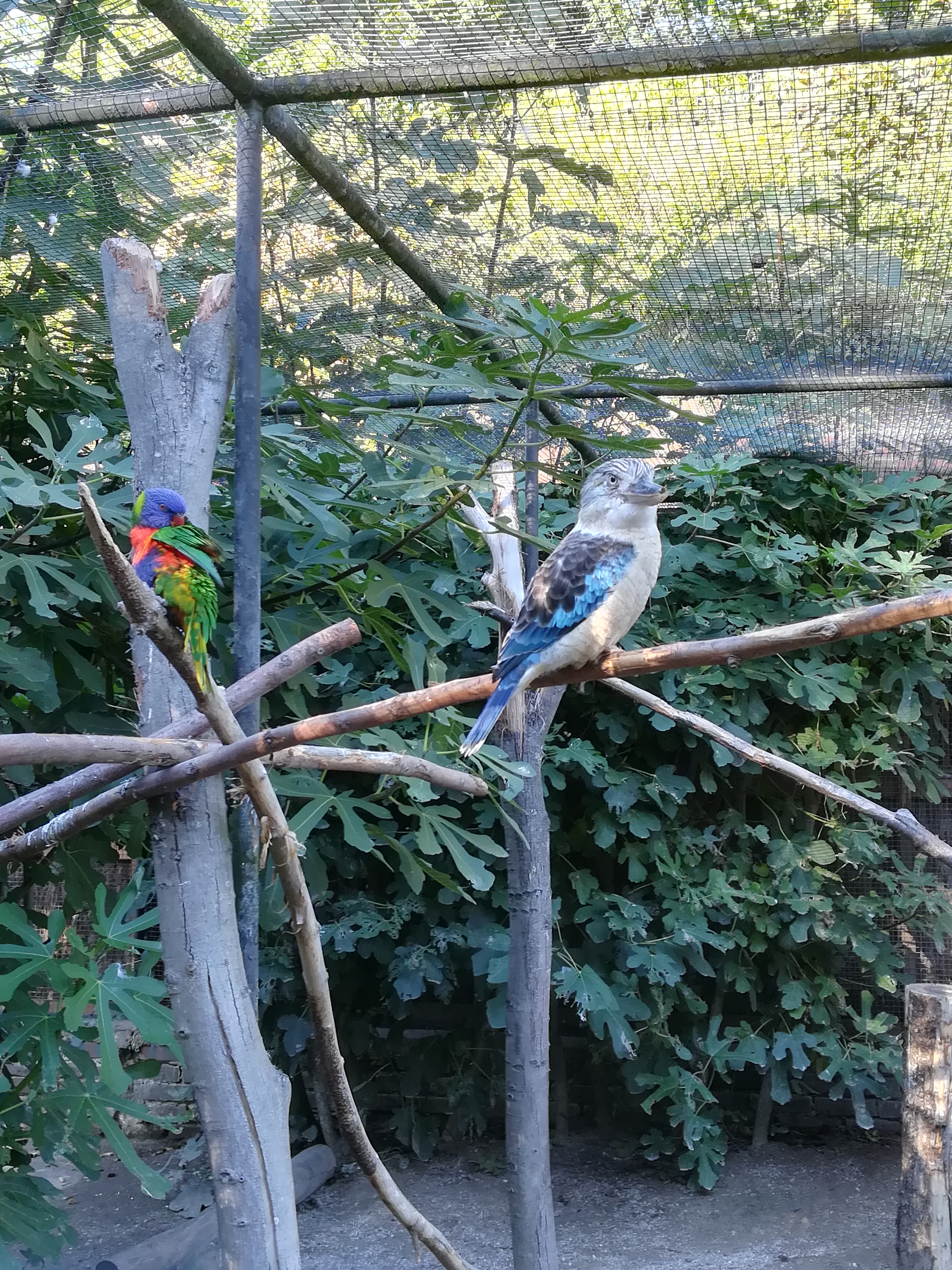Photo n° 5 de l'avis de Sébastien.o fait le 09/10/2022 à 19:26