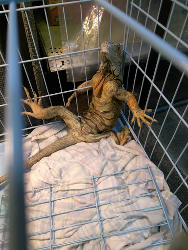 Pet Store «Wet Pet & Reptile Center», reviews and photos, 429 Eastern Blvd, Essex, MD 21221, USA