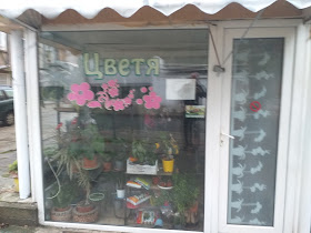 Магазини за цветя