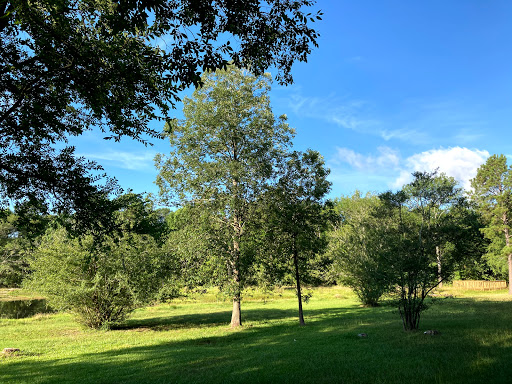 Nature Preserve «Spring Creek Greenway Nature Center», reviews and photos, 1300 Riley Fuzzel Rd, Spring, TX 77386, USA