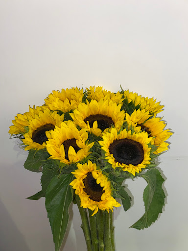 Flower House Monterrey – Monterrey