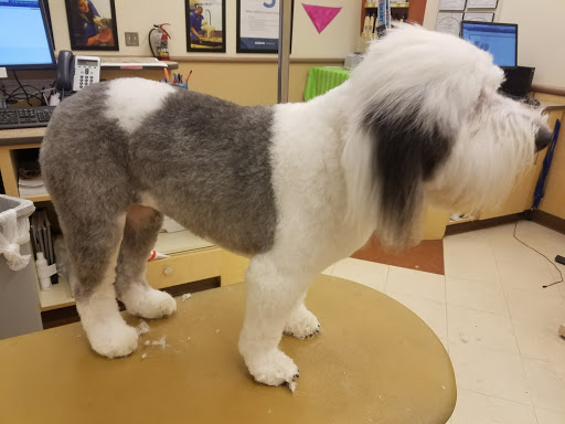 Pet Supply Store «PetSmart», reviews and photos, 1300 John F Kennedy Rd, Dubuque, IA 52002, USA