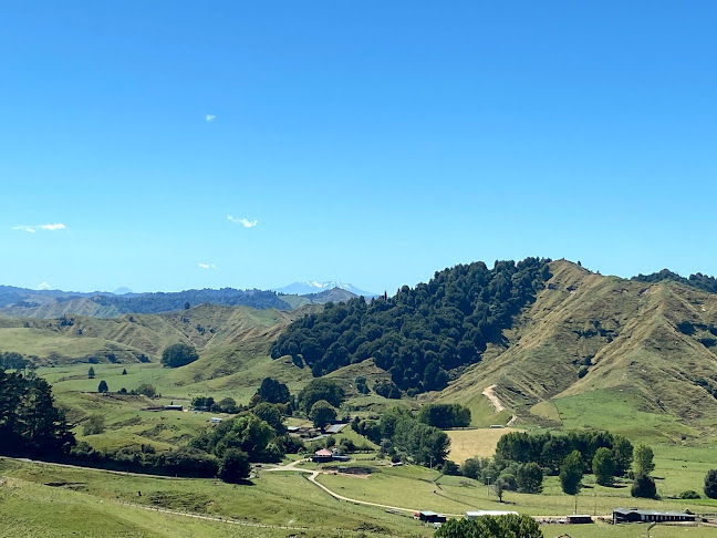 State Highway 43, Whangamōmona 4396, New Zealand