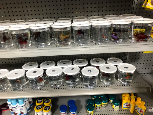 Pet Store «Petland Lewis Center», reviews and photos, 86 Meadow Park Ave, Lewis Center, OH 43035, USA