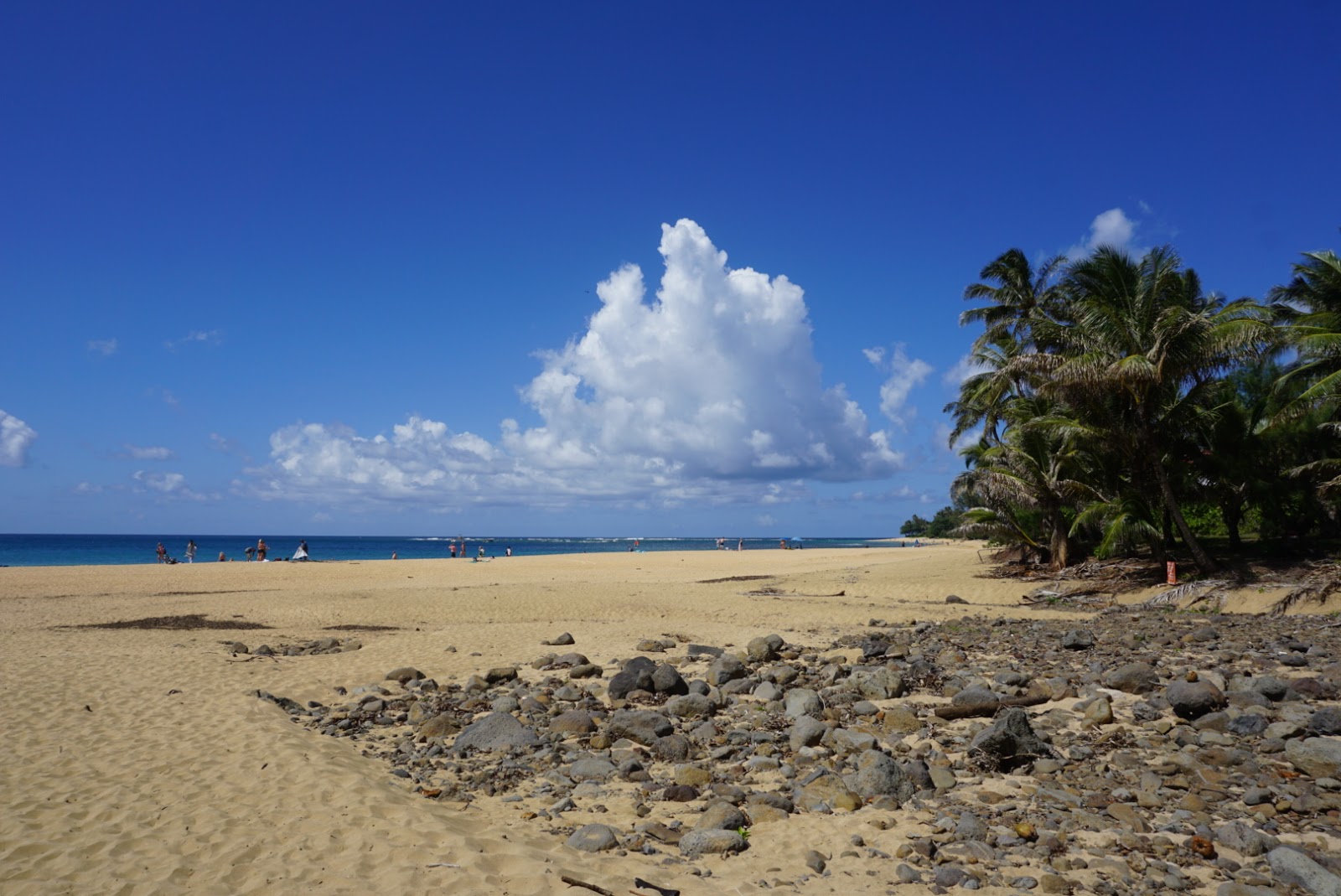 Kauapea Beach'in fotoğrafı doğal alan içinde bulunmaktadır