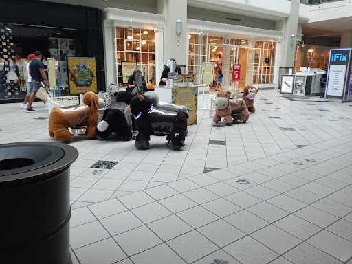 Shopping Mall «Emerald Square», reviews and photos, 999 S Washington St, North Attleborough, MA 02760, USA