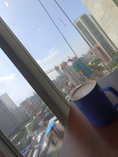 Google Maps image 14