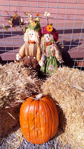 Tourist Attraction «Museum and Event Grounds for Mt. Rainier Railroad and Logging Museum», reviews and photos, 349 Mineral Creek Rd S, Mineral, WA 98355, USA