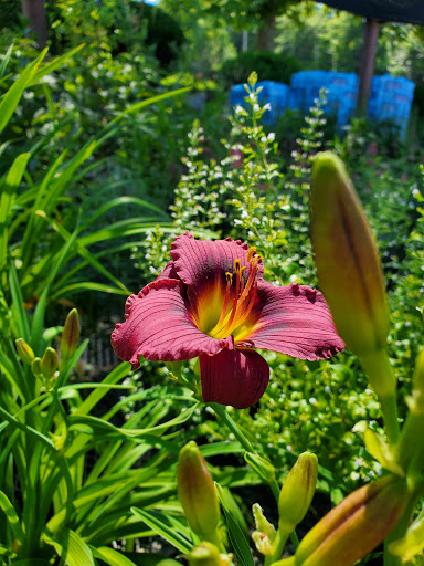 Garden Center «Whispering Pine Garden Center & Florist», reviews and photos, 1 Windsor Rd, Yorktown Heights, NY 10598, USA