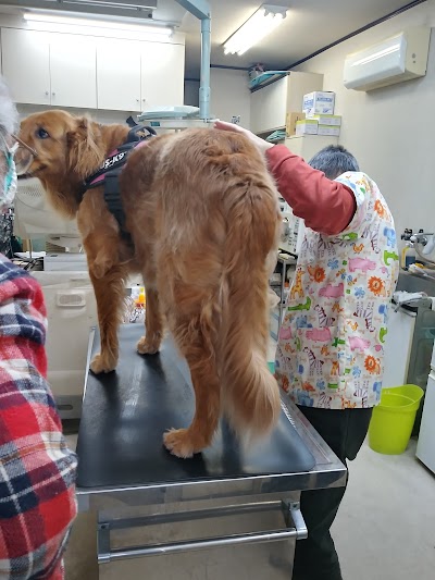 こわかえ動物病院