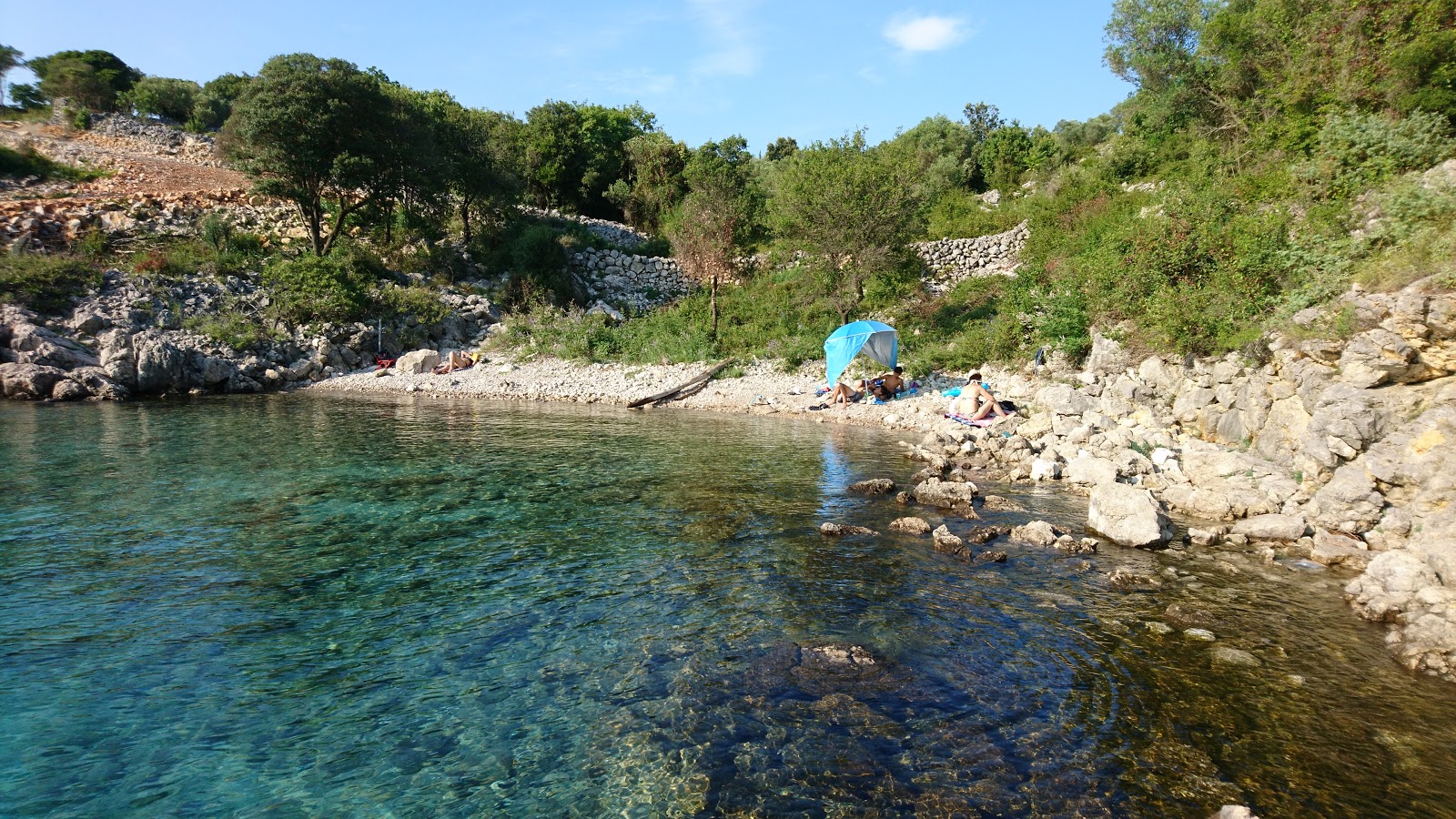 Foto di St. George wild beach ubicato in zona naturale