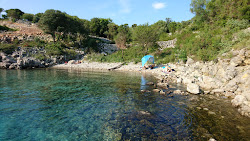 Foto von St. George wild beach befindet sich in natürlicher umgebung