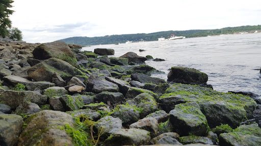 Park «Croton Point Park», reviews and photos, 1 Croton Point Ave, Croton-On-Hudson, NY 10520, USA