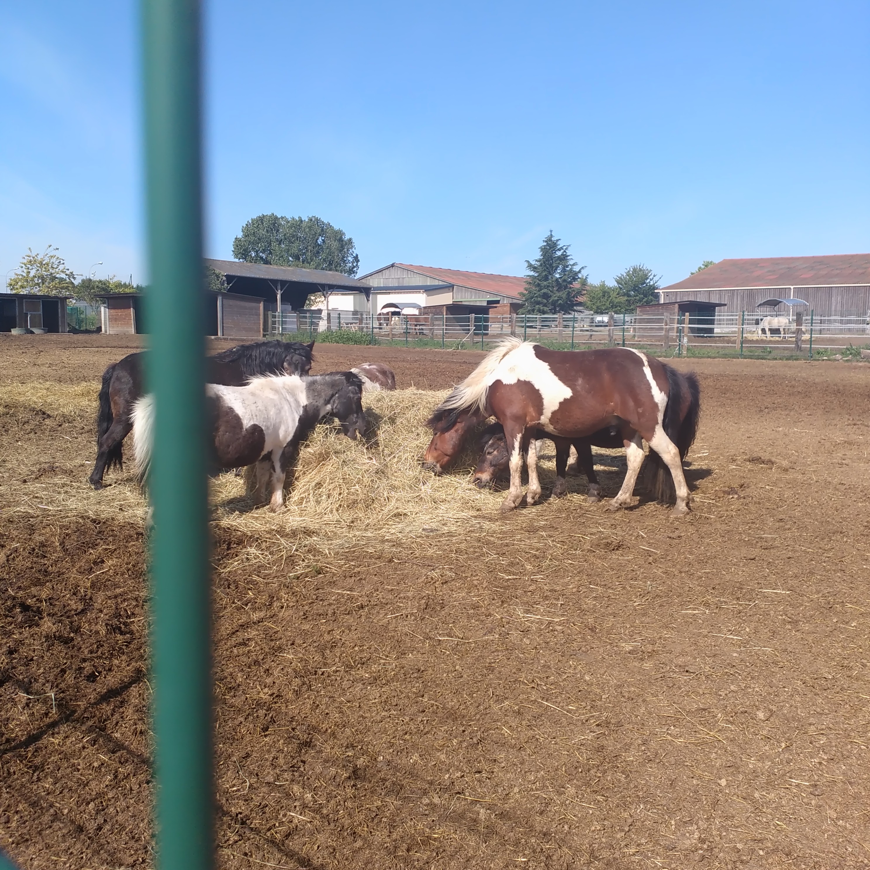 Photo n° 5 de l'avis de Françoise.e fait le 26/05/2020 à 08:48