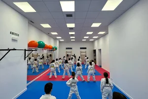 Lezkairu Taekwondo image