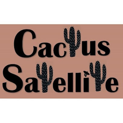 Cactus Satellite Inc