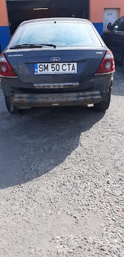 Strada Soimoseni 21, Satu Mare 440111, România