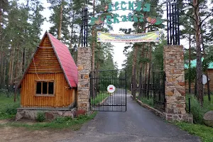Lesnaya Skazka image