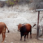 Photo n°2 de l'avis de William.o fait le 07/06/2021 à 08:45 sur le  Il Giardino del Sole à Carlentini