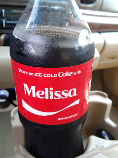 Discount Store «Dollar General», reviews and photos, 4593 S M 52, Stockbridge, MI 49285, USA