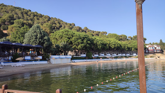 Karayollari Narli Kampi Beach