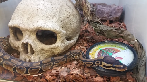 Pet Supply Store «Pet Supplies Plus», reviews and photos, 4250 N Alafaya Trail #240, Oviedo, FL 32765, USA