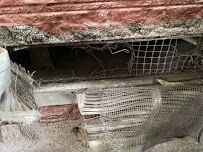 Critter Control of Waco - Photo 4 - Car repair in , Waco