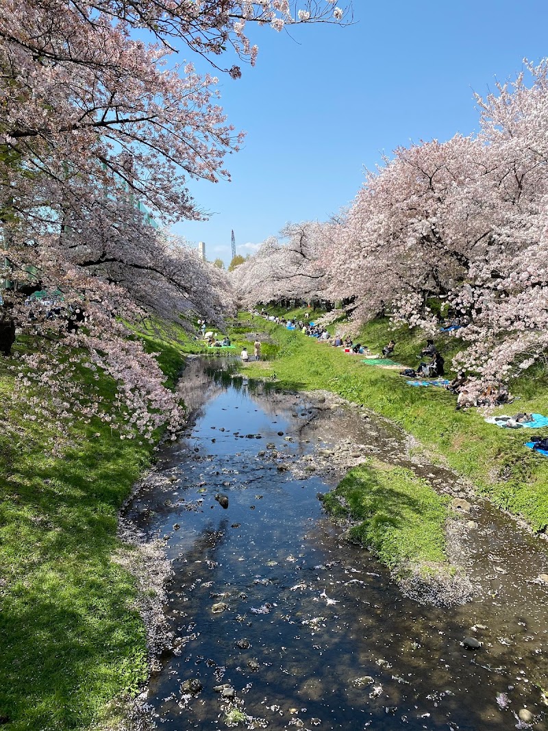 立川公園新堤防運動広場