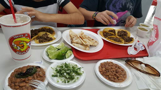 Tacos Gavilan