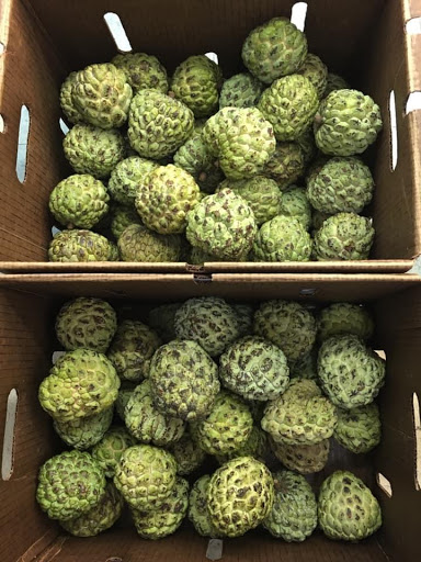 Asian Grocery Store «Asian Supermarket & Gifts Inc», reviews and photos, 4295 E Main St, Columbus, OH 43213, USA