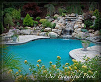 Puraqua Pools - Photo 4 - Car repair in Waltham, MA, Boston