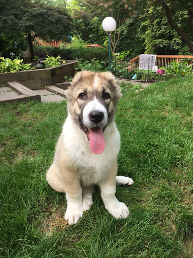 Pet Supply Store «Petco Animal Supplies», reviews and photos, 450 N Rte 17, Paramus, NJ 07652, USA