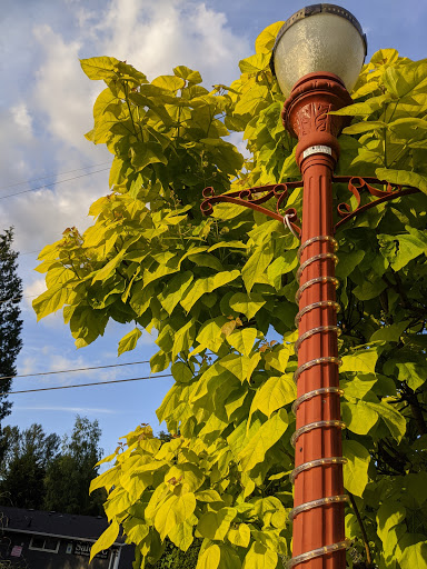 Community Center «Downtown Issaquah Association - Main Street Issaquah», reviews and photos, 232 Front St N, Issaquah, WA 98027, USA