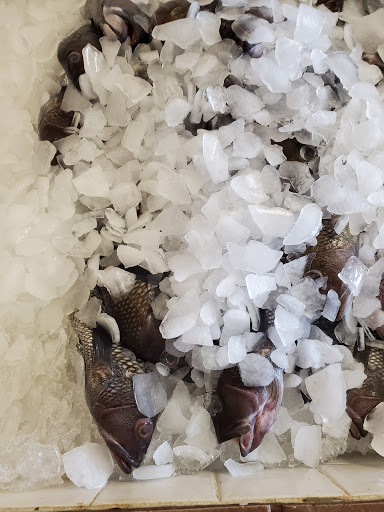 Seafood Market «Ocean Fish Market», reviews and photos, 302 Kingston St, Conway, SC 29526, USA